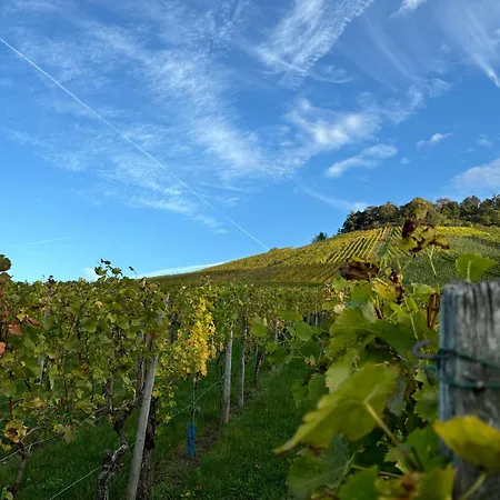 Grosszuegige Im Remstal Apartament