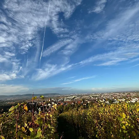 Grosszuegige Im Remstal